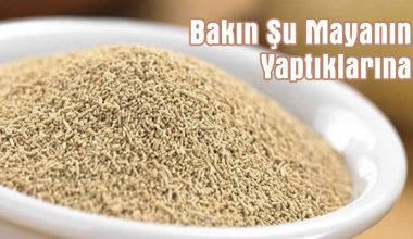 BAKIN SU MAYANIN YAPTIKLARINA! YORUM SAYFASI BAKIN SU MAYANIN YAPTIKLARINA! YORUM SAYFASI